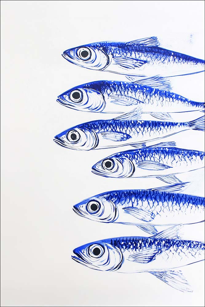Portugese Blue Fish