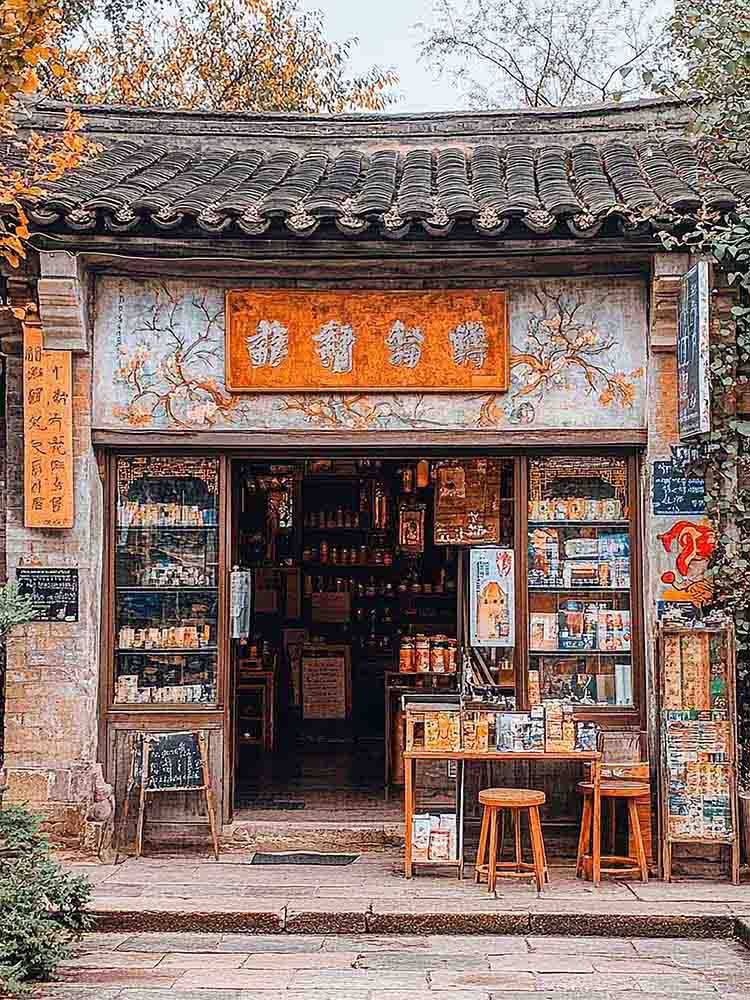 Chinese Medicine Shop