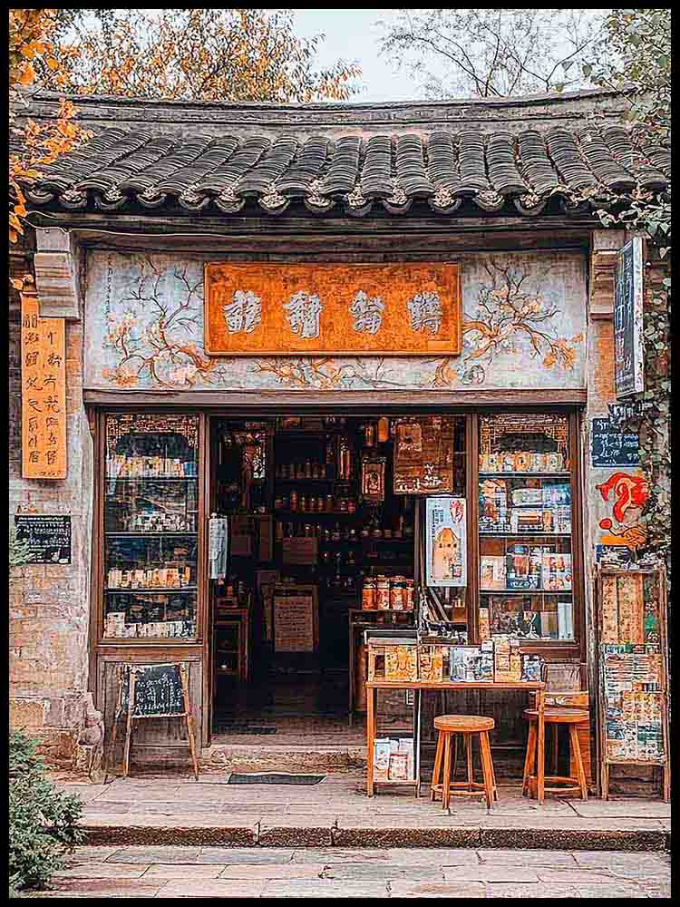 Chinese Medicine Shop