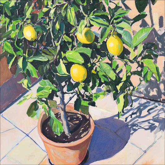 Mediterranean Lemon Tree