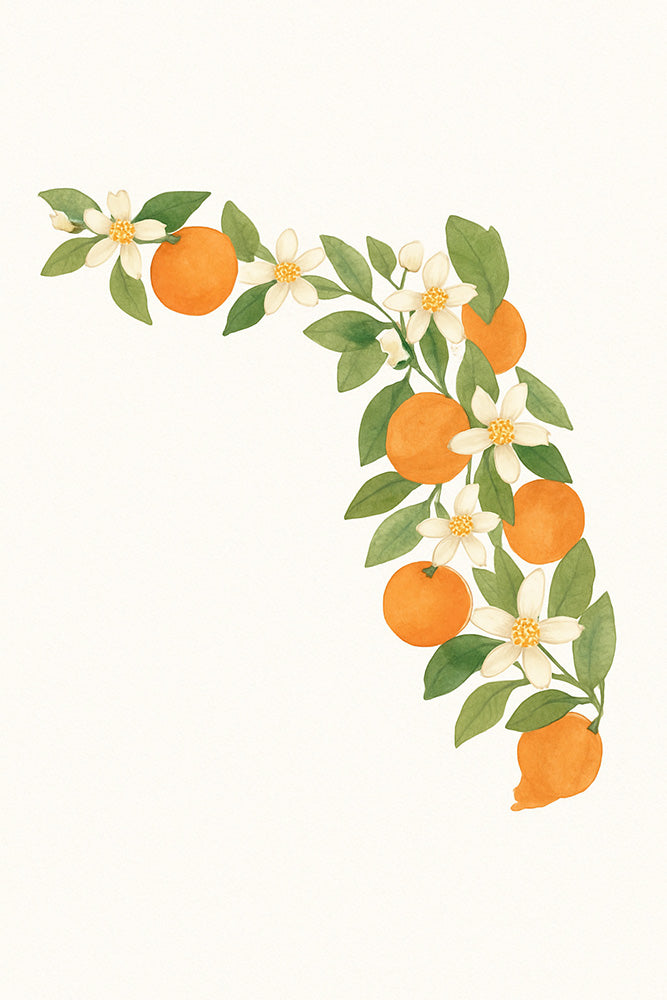 Florida Orange Blossoms Artwork