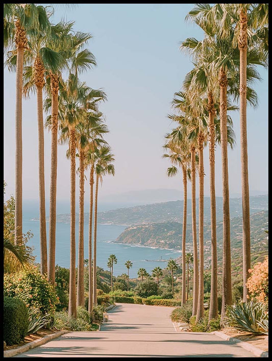 The Road To Happiness