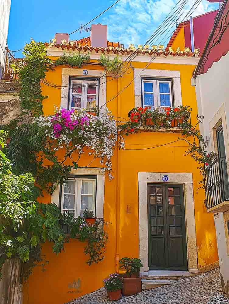 Yellow House